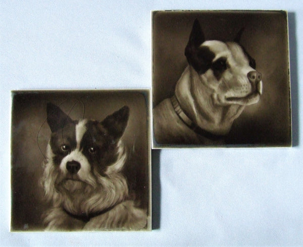 Sherwin Cotton Tile Bull Terrier Portrait